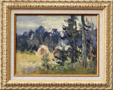 lot picture