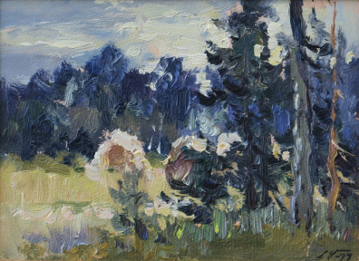 lot picture