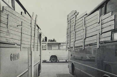 lot picture