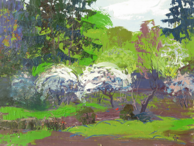 lot picture