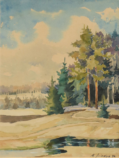 lot picture