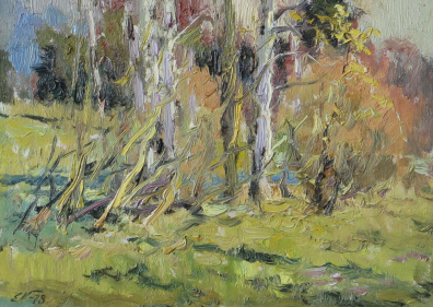 lot picture
