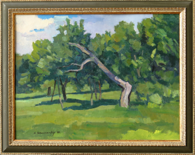 lot picture