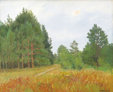 lot picture