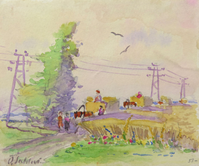 lot picture