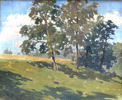 lot picture
