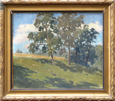 lot picture