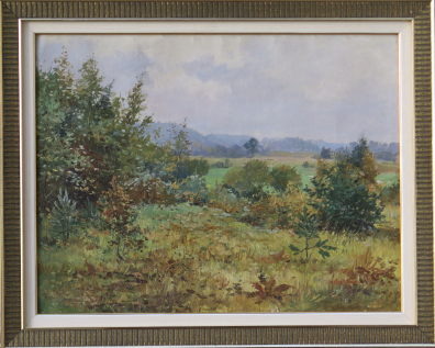lot picture
