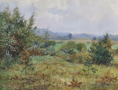 lot picture