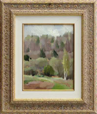 lot picture
