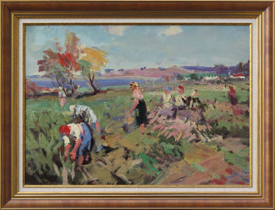 lot picture