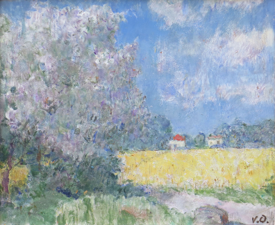 lot picture
