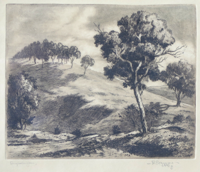 lot picture