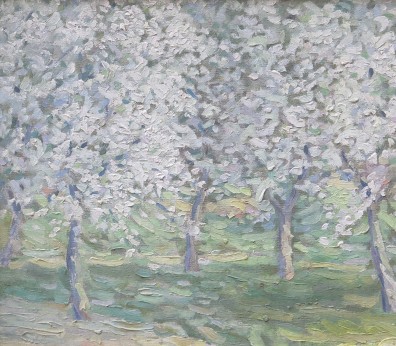 lot picture
