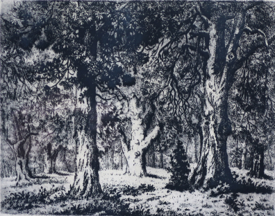 lot picture