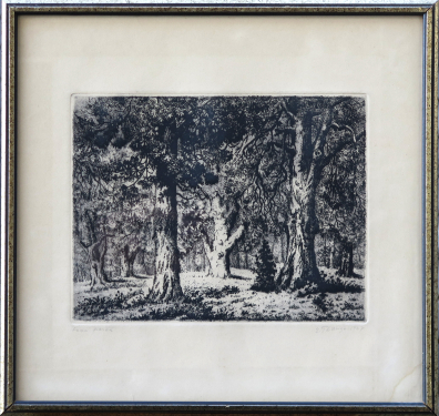 lot picture