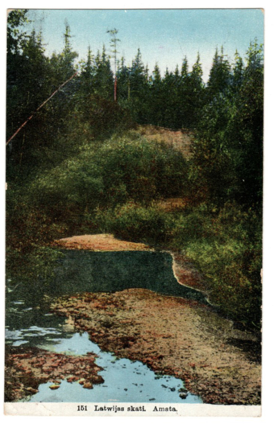 lot picture