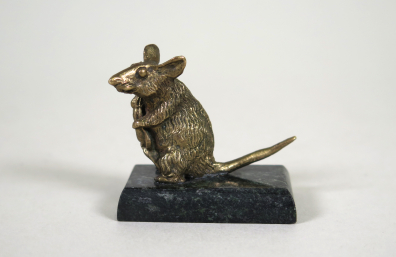 lot picture