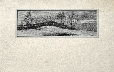 lot picture