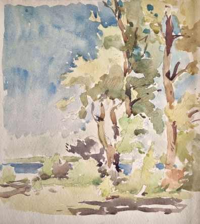 lot picture