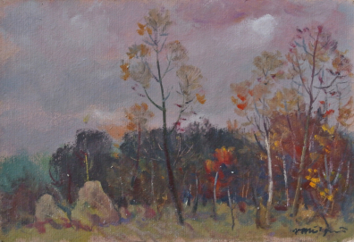 lot picture