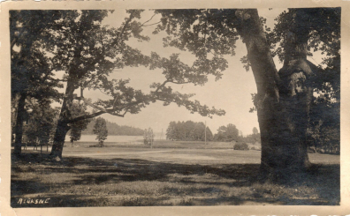 lot picture
