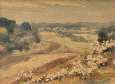 lot picture