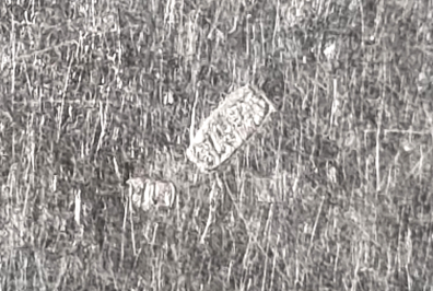 lot picture