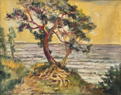 lot picture