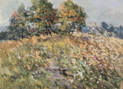 lot picture