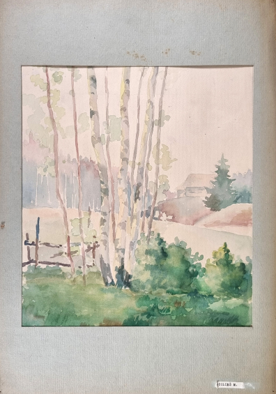 lot picture