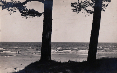 lot picture
