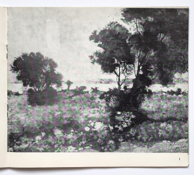 lot picture
