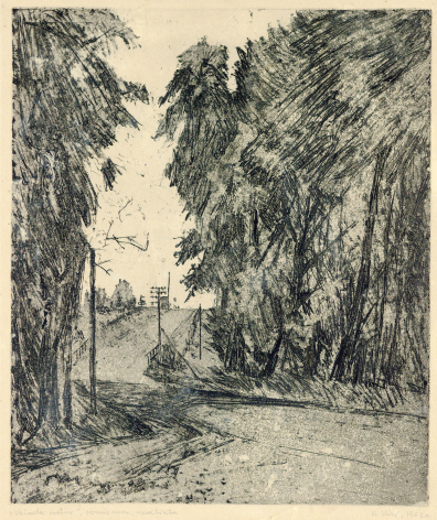 lot picture