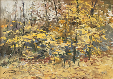lot picture