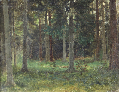 lot picture