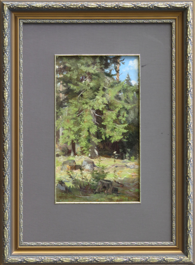 lot picture
