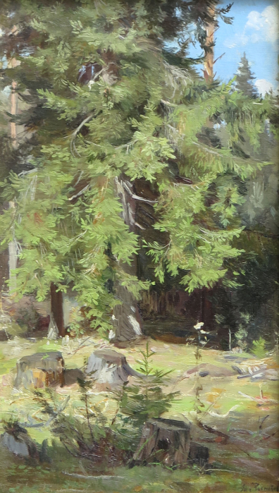 lot picture