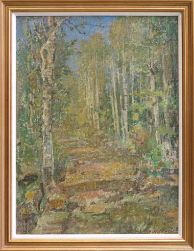 lot picture
