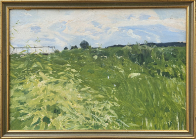 lot picture