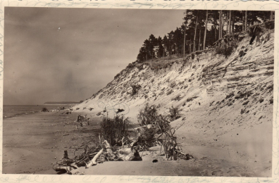 lot picture