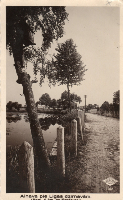 lot picture