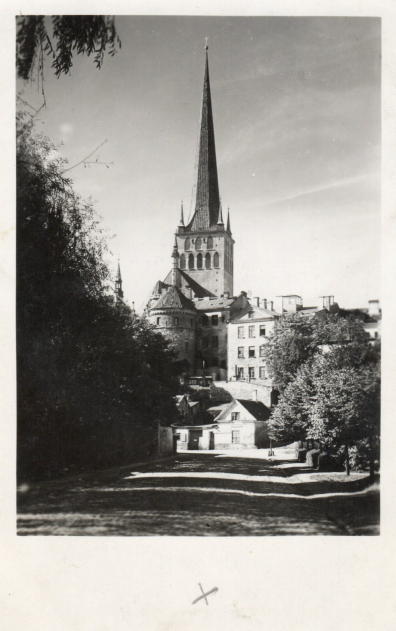 lot picture