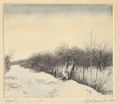 lot picture