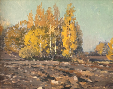 lot picture