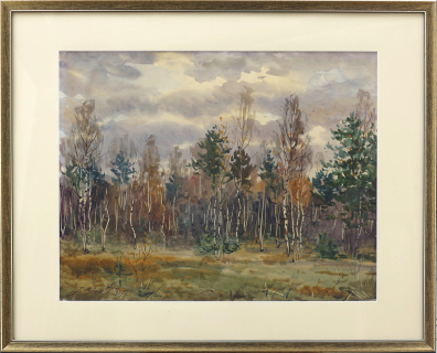 lot picture