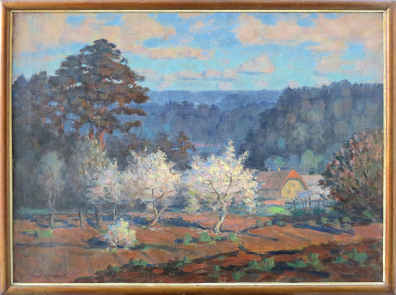 lot picture