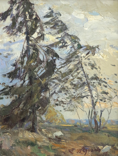 lot picture