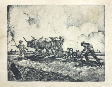 lot picture