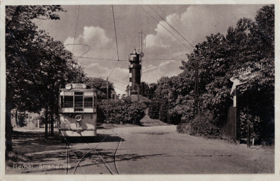 lot picture